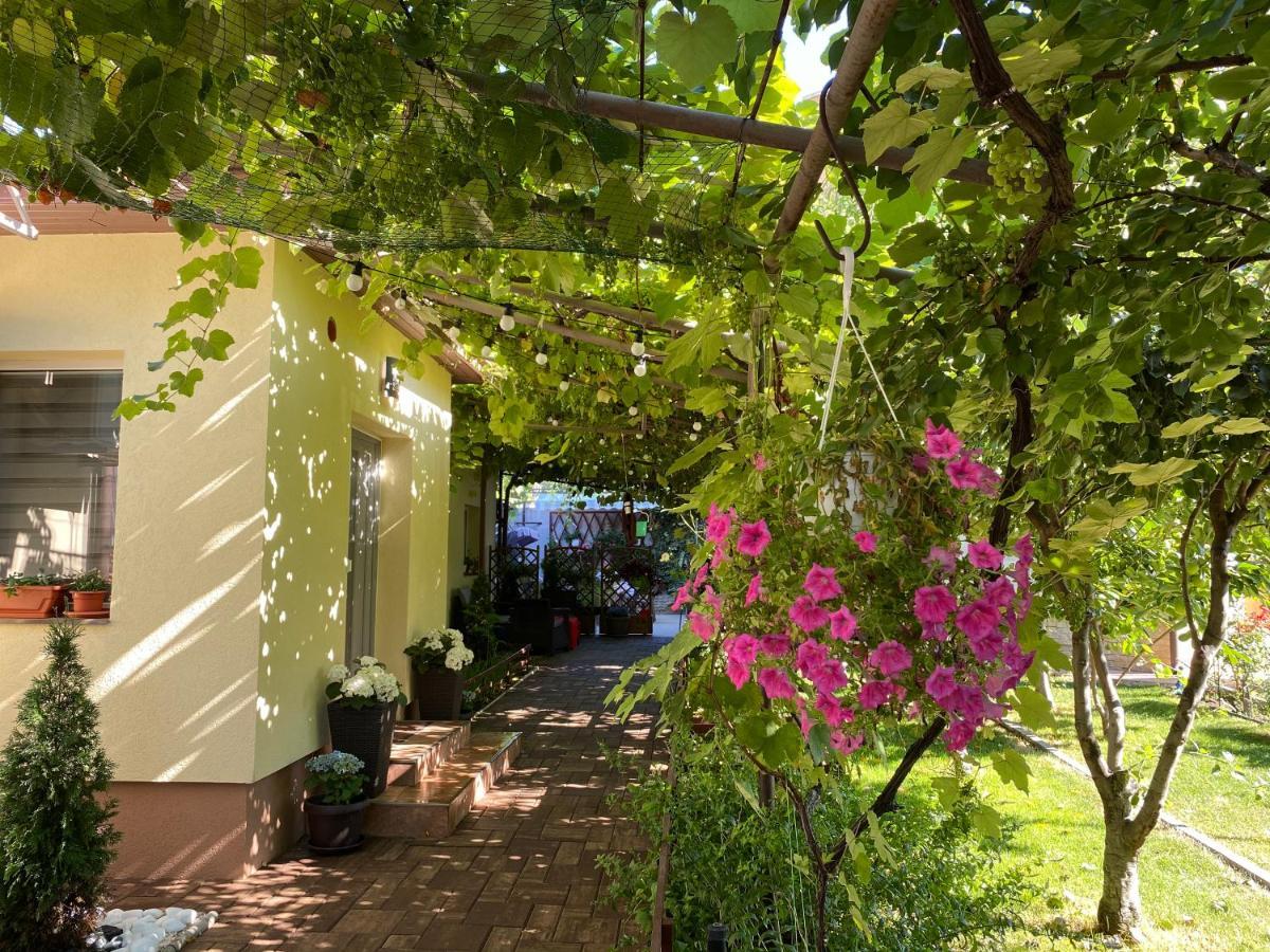 Casa Lui Mamaia 호텔 콘스탄차 외부 사진