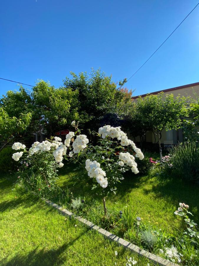 Casa Lui Mamaia 호텔 콘스탄차 외부 사진