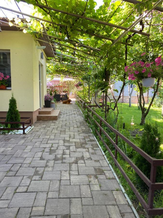 Casa Lui Mamaia 호텔 콘스탄차 외부 사진