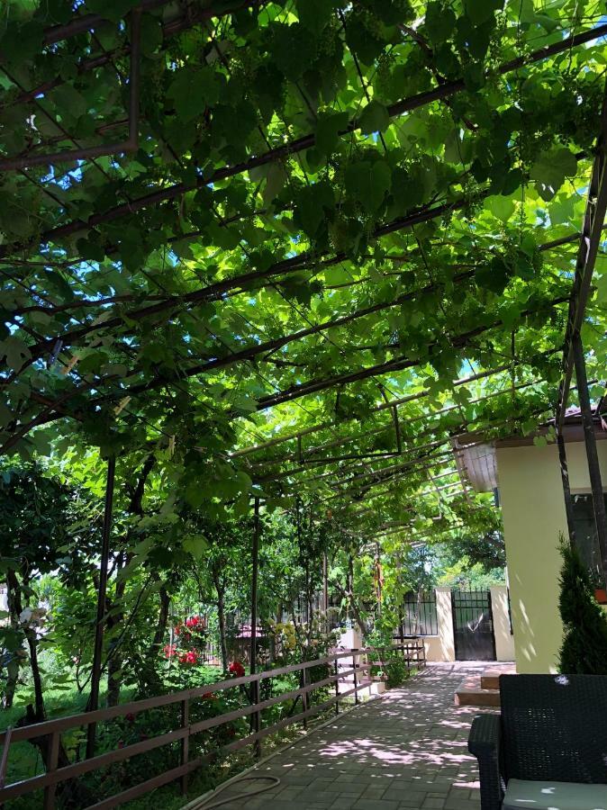 Casa Lui Mamaia 호텔 콘스탄차 외부 사진